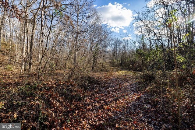 0 Grandos St, Shenandoah, VA 22849