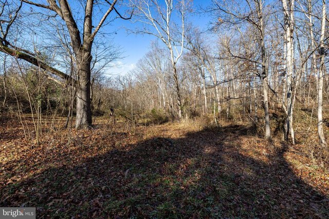 0 Grandos St, Shenandoah, VA 22849