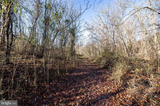 0 Grandos St, Shenandoah, VA 22849