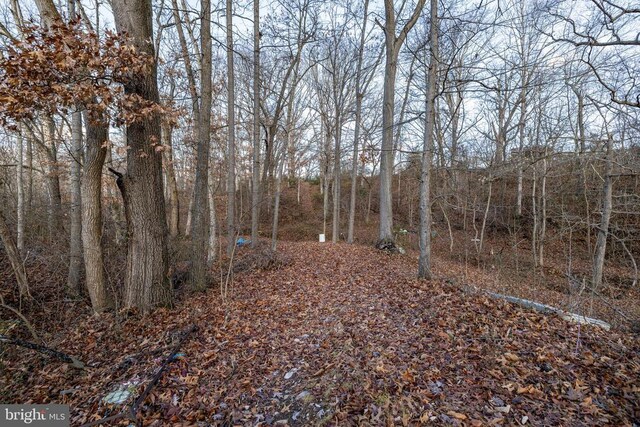 0 Grandos St, Shenandoah, VA 22849