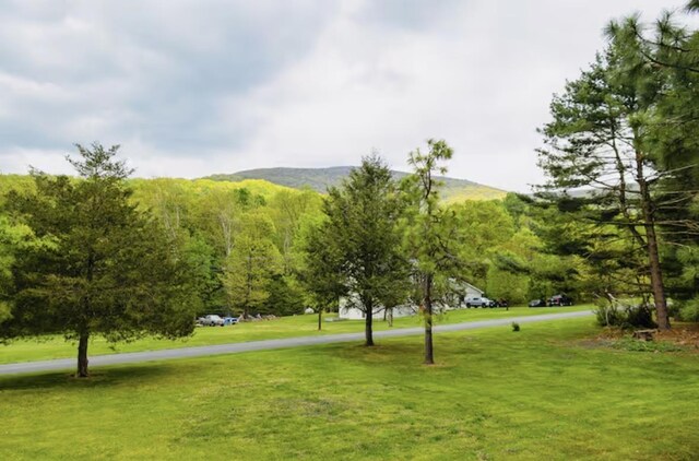 4064 Pine Grove Rd, Stanley, VA 22851 - view of community featuring a lawn