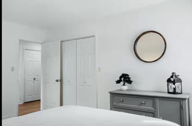4064 Pine Grove Rd, Stanley, VA 22851 - bedroom featuring a closet and wood finished floors