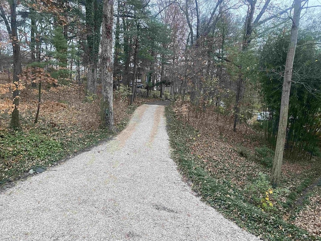 view of street featuring a wooded view