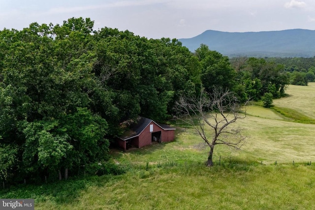 5408 US Highway 340 N, Rileyville, VA 22650 - photo 75