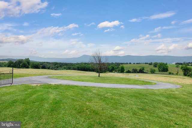 5408 US Highway 340 N, Rileyville, VA 22650 - photo 61