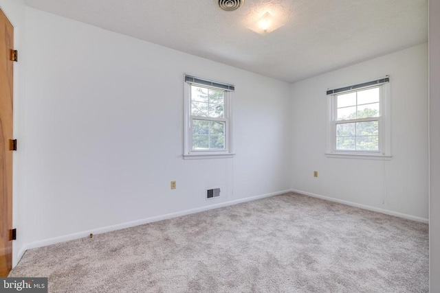 5408 US Highway 340 N, Rileyville, VA 22650 - photo 43