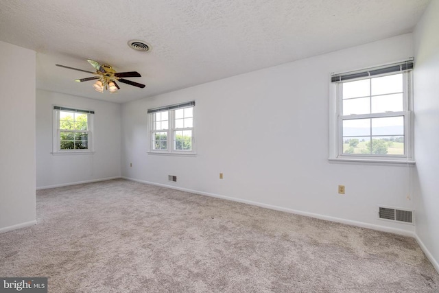 5408 US Highway 340 N, Rileyville, VA 22650 - photo 36