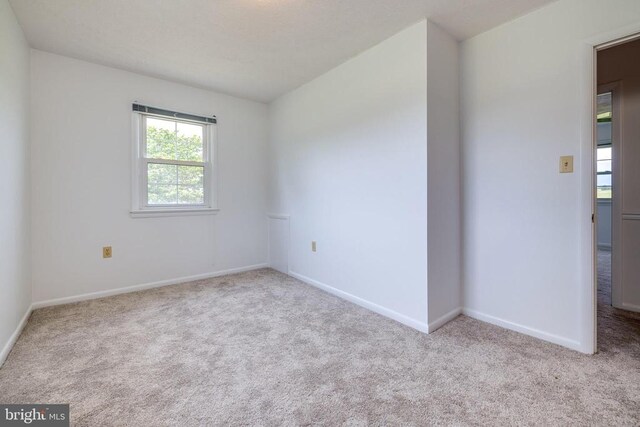 5408 US Highway 340 N, Rileyville, VA 22650 - photo 44