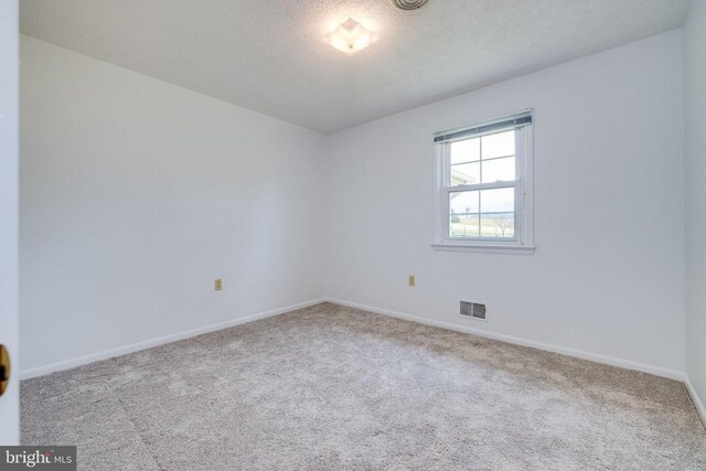 5408 US Highway 340 N, Rileyville, VA 22650 - photo 46