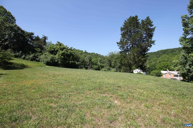 325 Union Run, Lexington, VA 24450 - view of green lawn with a wooded view
