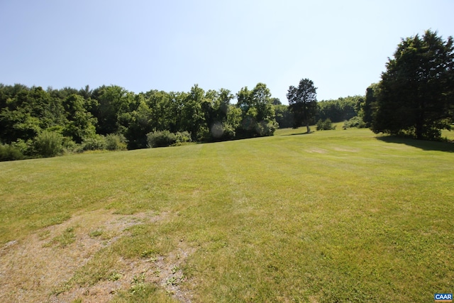325 Union Run, Lexington, VA 24450 - view of green lawn
