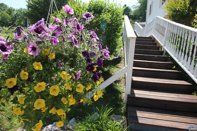 325 Union Run, Lexington, VA 24450 - view of stairs