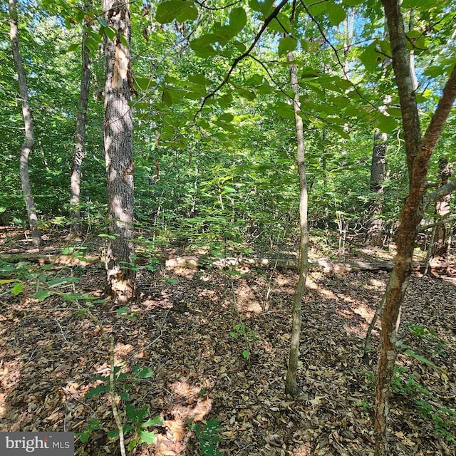 6202 Bills Rd, Mineral, VA 23117