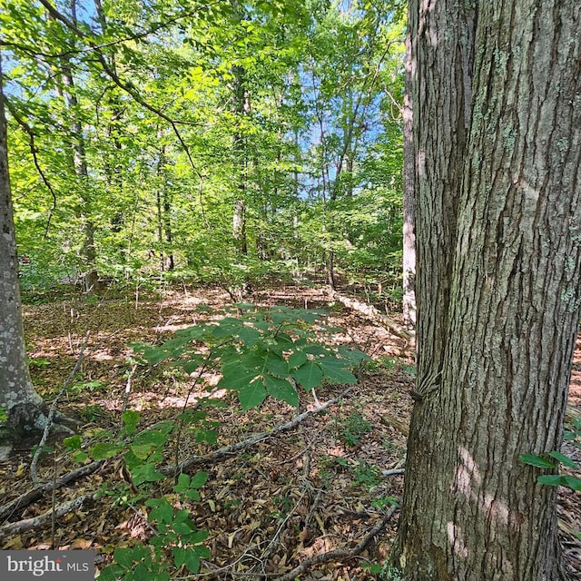 6202 Bills Rd, Mineral, VA 23117