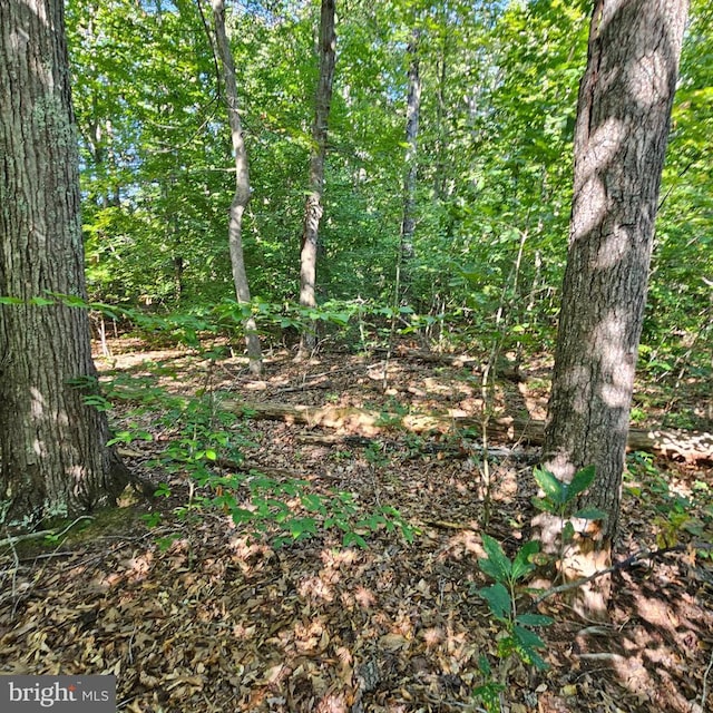 6202 Bills Rd, Mineral, VA 23117