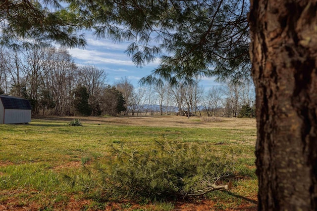 4453 Park Way, Elkton, VA 22827 - view of yard featuring an outbuilding and a shed