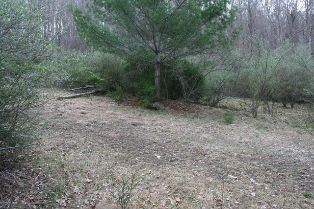 TBD Highland Tpke E, Monterey, VA 24465 - photo 11