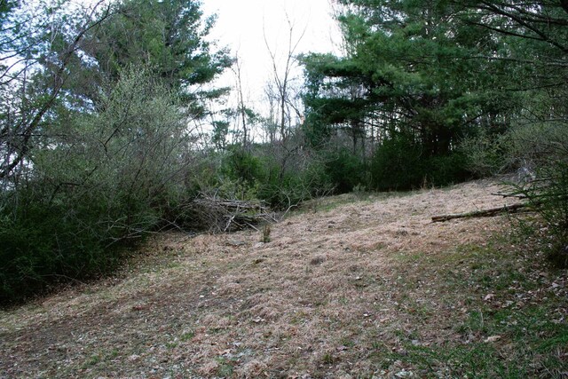 TBD Highland Tpke E, Monterey, VA 24465 - photo 5