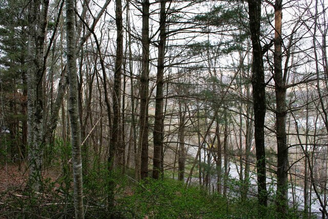 TBD Highland Tpke E, Monterey, VA 24465 - photo 3