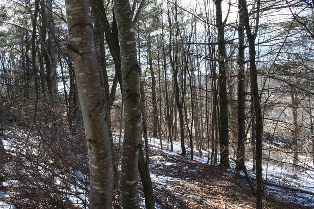 TBD Highland Tpke E, Monterey, VA 24465 - photo 8