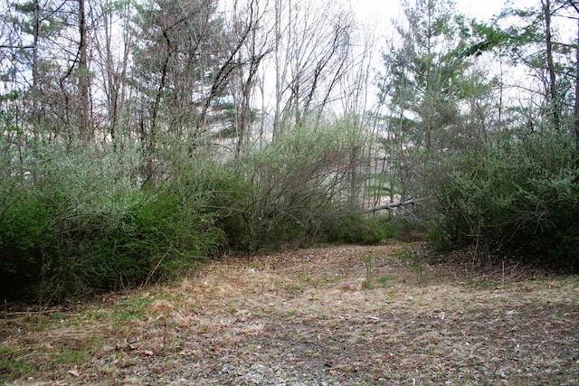 TBD Highland Tpke E, Monterey, VA 24465 - photo 12