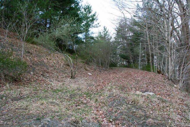 TBD Highland Tpke E, Monterey, VA 24465 - photo 1