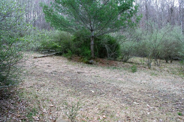 TBD Highland Tpke E, Monterey, VA 24465 - photo 4