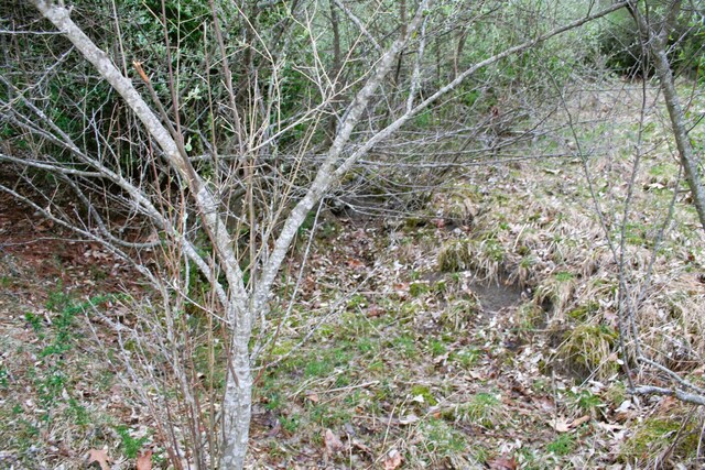 TBD Highland Tpke E, Monterey, VA 24465 - photo 7