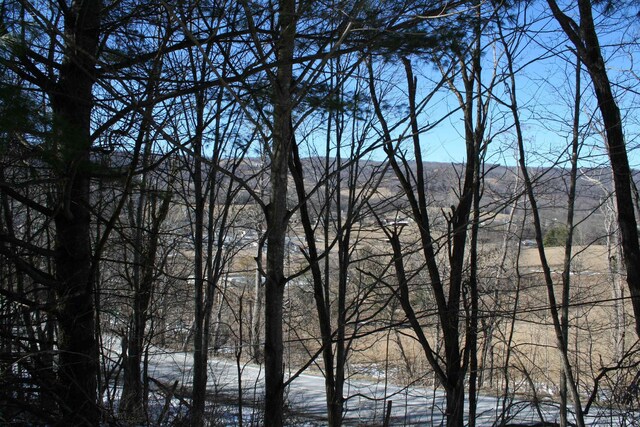 TBD Highland Tpke E, Monterey, VA 24465 - photo 6