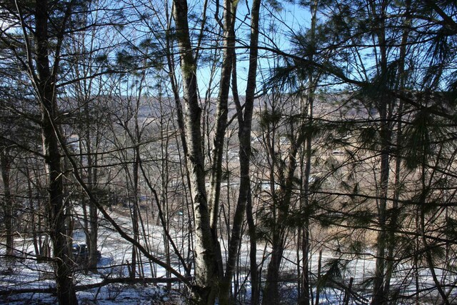 TBD Highland Tpke E, Monterey, VA 24465 - photo 10