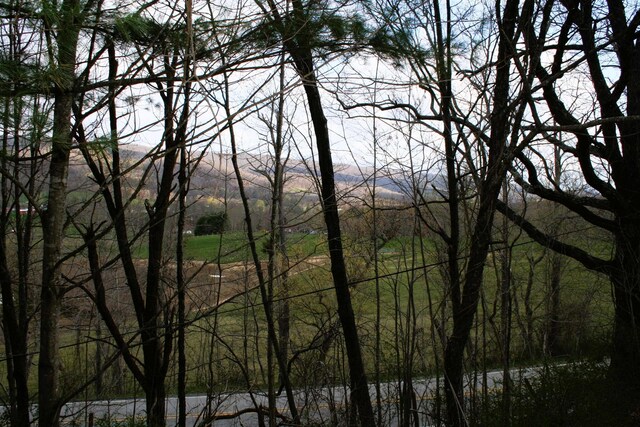TBD Highland Tpke E, Monterey, VA 24465 - photo 2