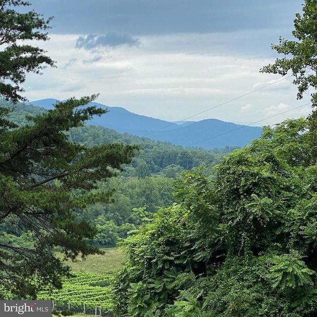 2188 Whippoorwill Rd, Madison, VA 22727 - photo 11