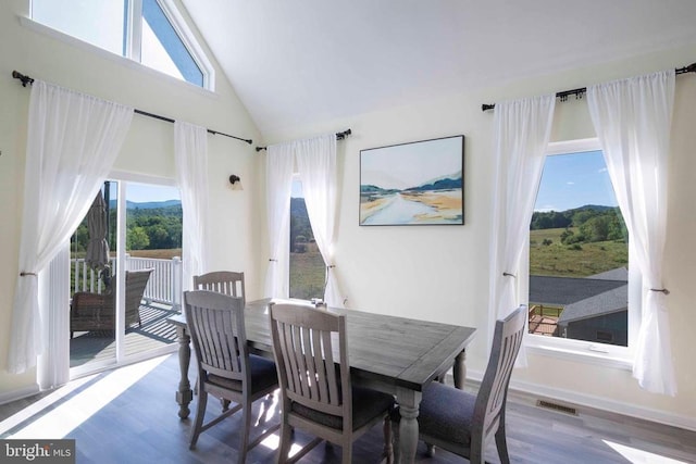 32 Old Hollow Rd, Sperryville, VA 22740 - dining space with a wealth of natural light, high vaulted ceiling, visible vents, and wood finished floors