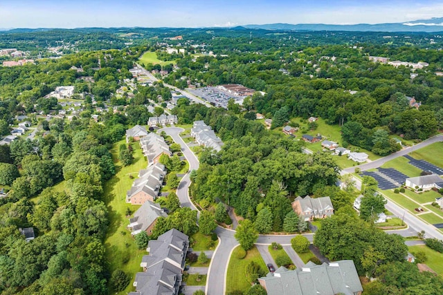229 Forest Ridge Rd, Staunton, VA 24401 - photo 69