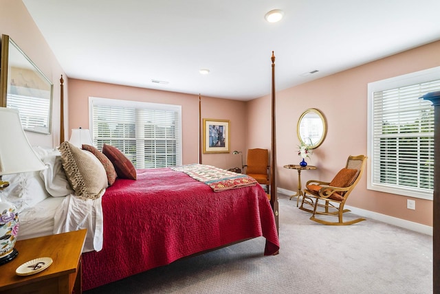 229 Forest Ridge Rd, Staunton, VA 24401 - photo 41