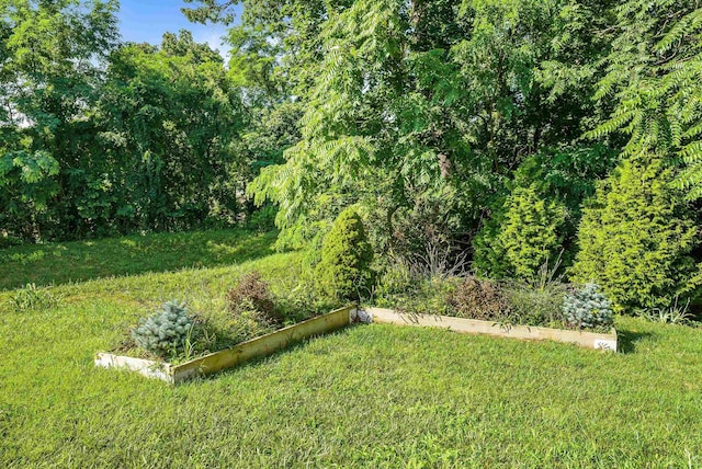 229 Forest Ridge Rd, Staunton, VA 24401 - photo 59