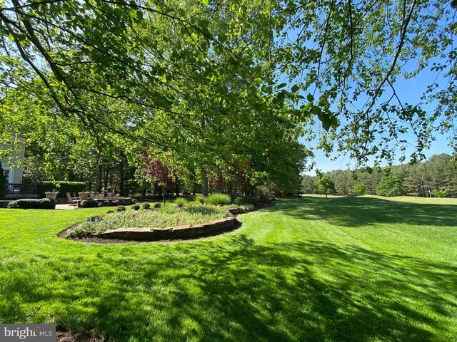 11609 Longstreet Dr, Spotsylvania, VA 22551 - photo 52