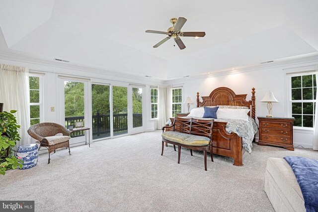 11609 Longstreet Dr, Spotsylvania, VA 22551 - photo 29