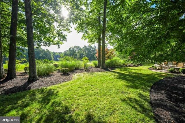 11609 Longstreet Dr, Spotsylvania, VA 22551 - photo 63