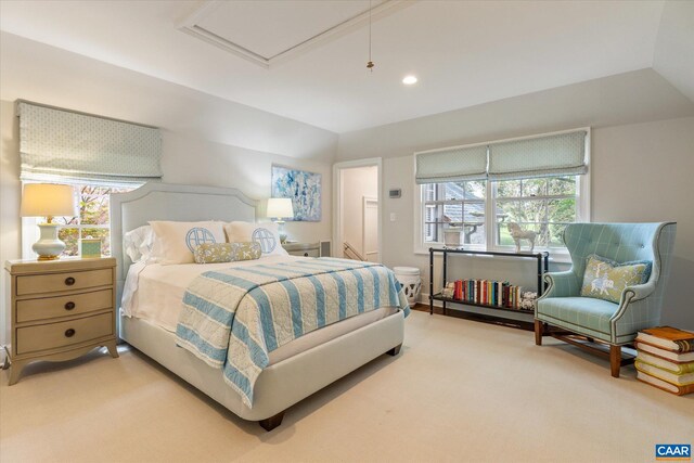 325 Farmington Dr, Charlottesville, VA 22901 - bedroom featuring multiple windows and carpet floors