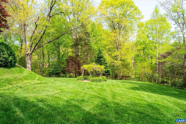 325 Farmington Dr, Charlottesville, VA 22901 - view of green lawn featuring a forest view