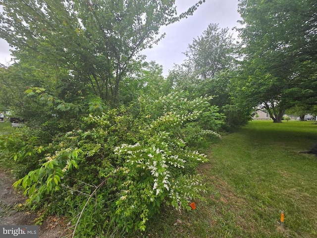5717 Lucas St, Fredericksburg, VA 22407