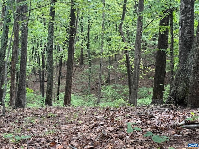 TBD Rabbit Valley Rd, North Garden, VA 22959