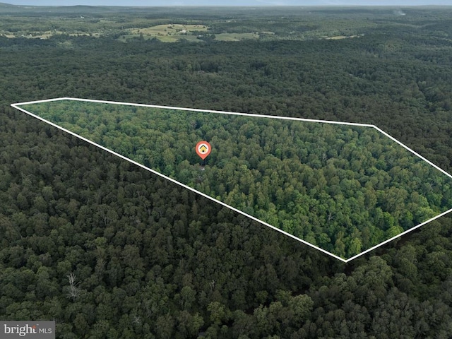7006 Tapps Ford Rd, Amissville, VA 20106 - photo 2