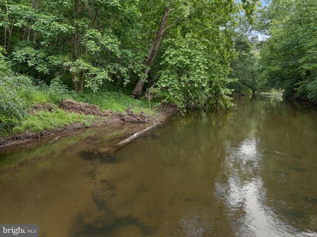 7006 Tapps Ford Rd, Amissville, VA 20106 - photo 3