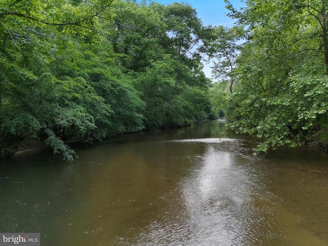 7006 Tapps Ford Rd, Amissville, VA 20106 - photo 69