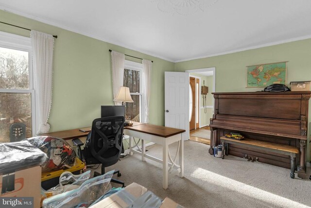 1308 Heatherbrook Ct, Fredericksburg, VA 22407 - photo 14