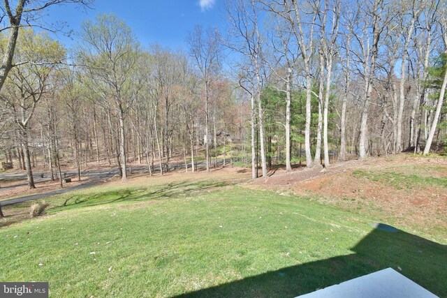  - view of grassy yard