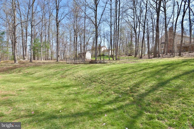  - view of grassy yard