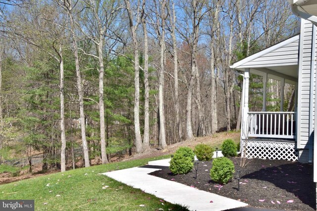  - view of green lawn featuring a view of trees